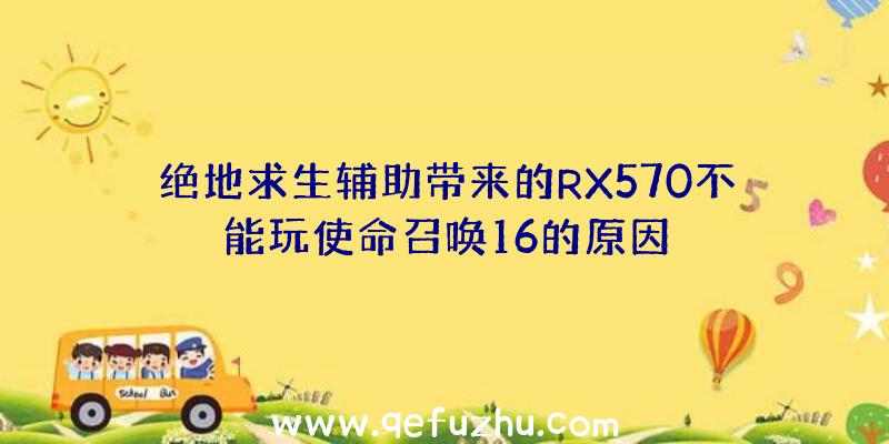 绝地求生辅助带来的RX570不能玩使命召唤16的原因