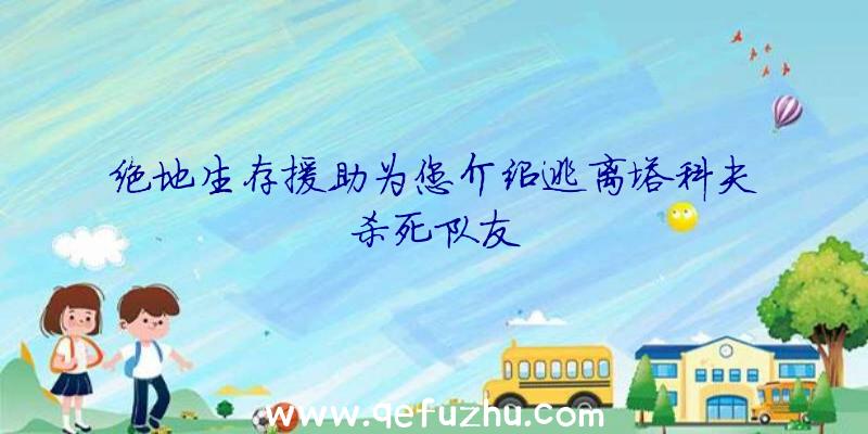 绝地生存援助为您介绍逃离塔科夫杀死队友