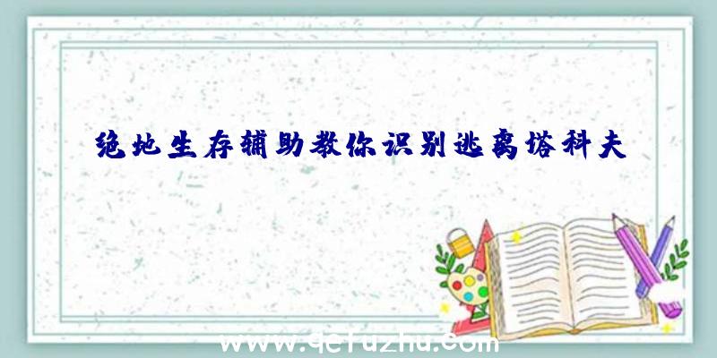 绝地生存辅助教你识别逃离塔科夫