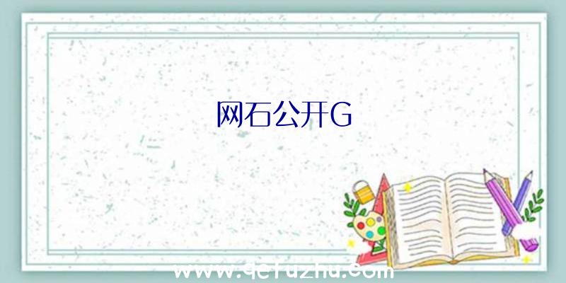 网石公开G