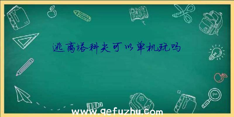 逃离塔科夫可以单机玩吗