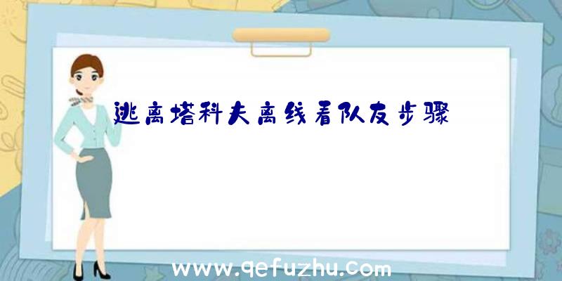 逃离塔科夫离线看队友步骤