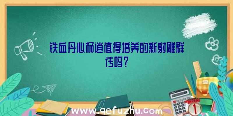 铁血丹心杨逍值得培养的新射雕群传吗？