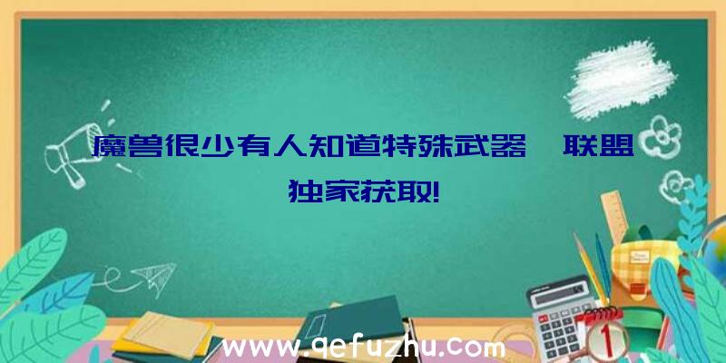 魔兽很少有人知道特殊武器,联盟独家获取!